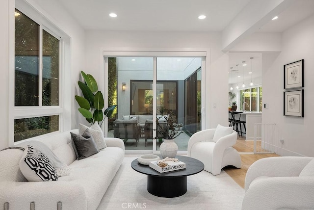 living room with hardwood / wood-style flooring