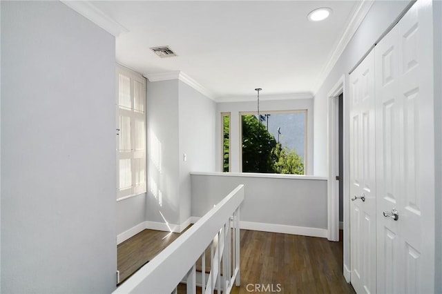 hallway with dark wood-type flooring and ornamental molding