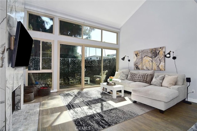 living room featuring high vaulted ceiling, hardwood / wood-style floors, and a premium fireplace