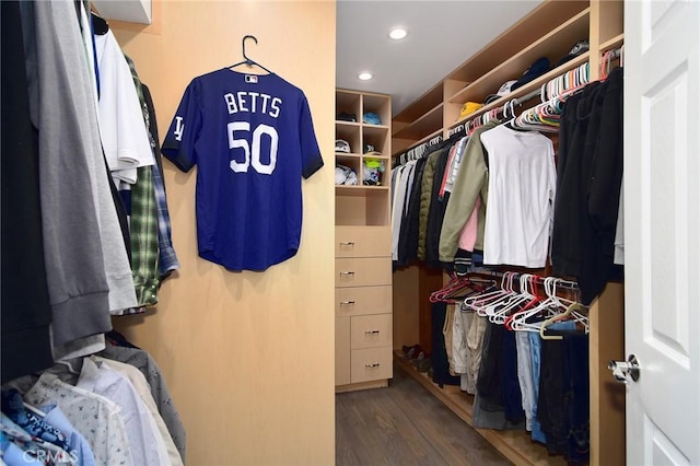 walk in closet with hardwood / wood-style flooring