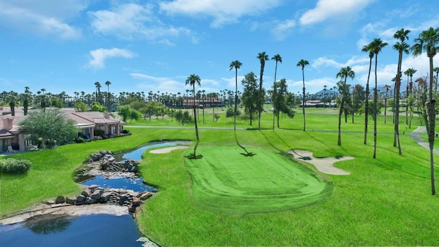 view of home's community featuring a yard