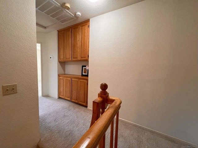 hall featuring light carpet and a raised ceiling