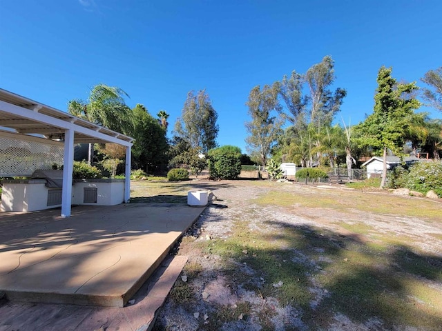 view of yard featuring a patio