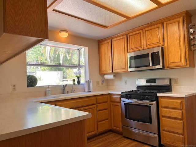 kitchen with light wood-type flooring, sink, and stainless steel appliances