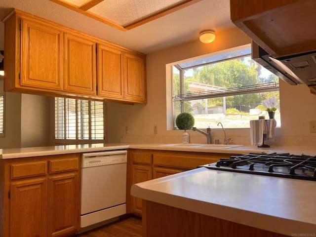 kitchen featuring white dishwasher, sink, and hardwood / wood-style flooring