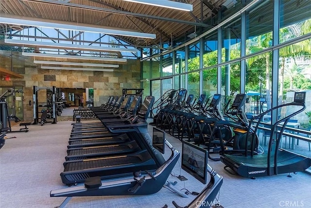 workout area featuring carpet floors and a high ceiling