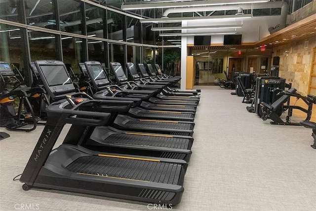 exercise room featuring a high ceiling