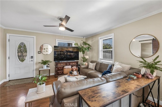 living room with ceiling fan, dark hardwood / wood-style flooring, and crown molding