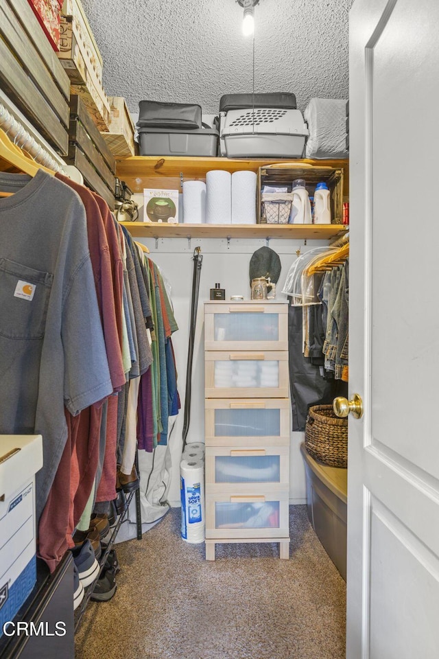 walk in closet featuring carpet