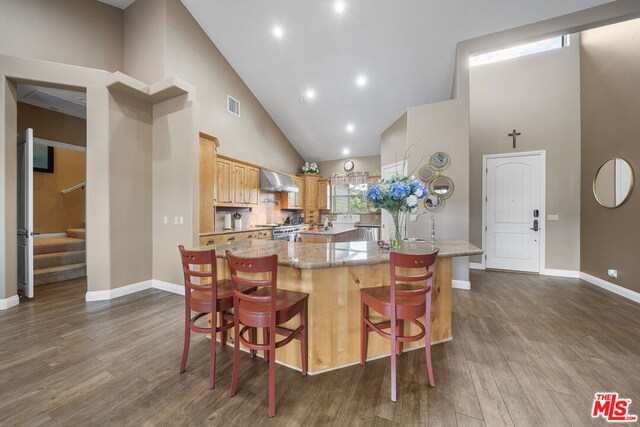 kitchen with dark hardwood / wood-style floors, high vaulted ceiling, a breakfast bar, light stone counters, and stove