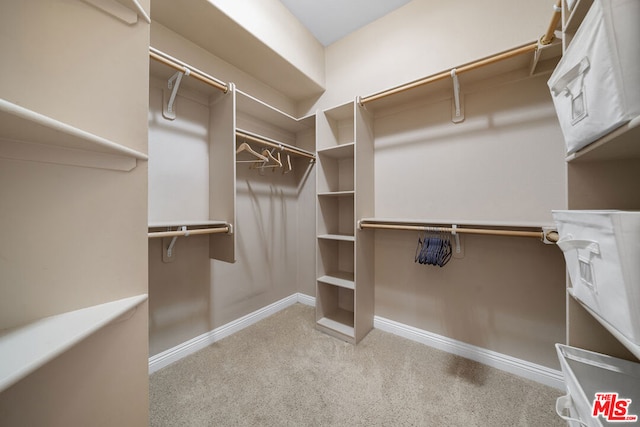 spacious closet featuring light carpet