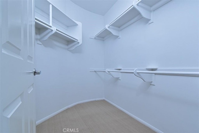 walk in closet with light colored carpet