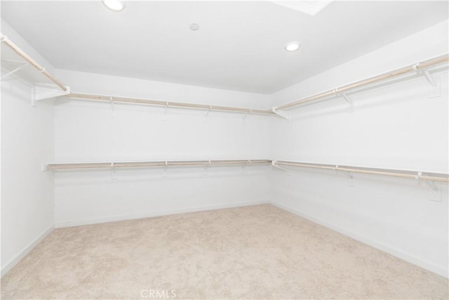 walk in closet featuring light colored carpet