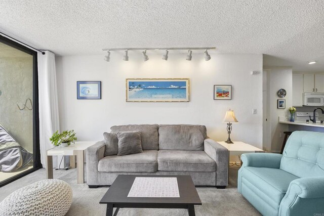 living room with rail lighting, a textured ceiling, a wall of windows, and light colored carpet