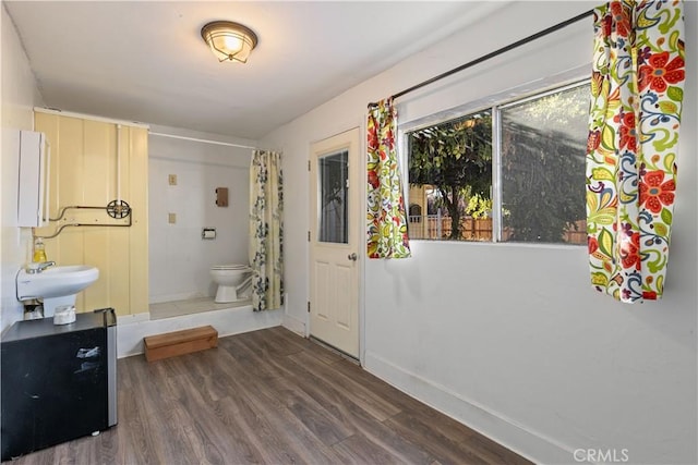 interior space with dark hardwood / wood-style floors and sink