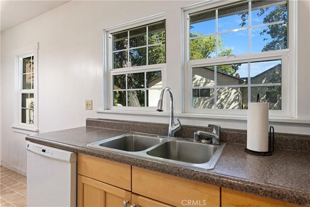 kitchen featuring white dishwasher and sink