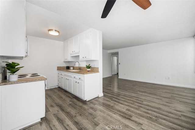 kitchen featuring dark hardwood / wood-style floors, white cabinets, and sink