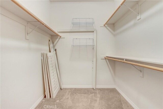 spacious closet featuring light carpet