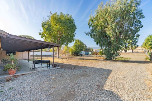 view of yard featuring a patio area