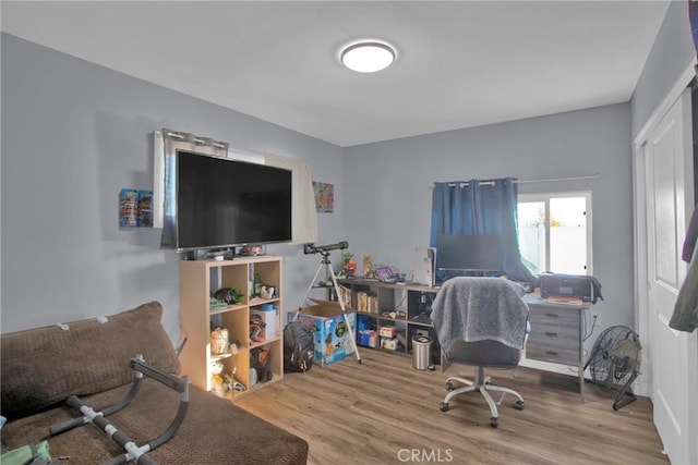 office featuring wood-type flooring