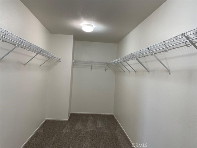 walk in closet with dark carpet