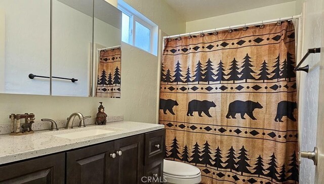 bathroom with toilet and vanity