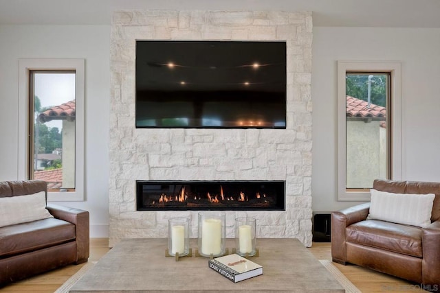 living room featuring a fireplace and light wood-type flooring