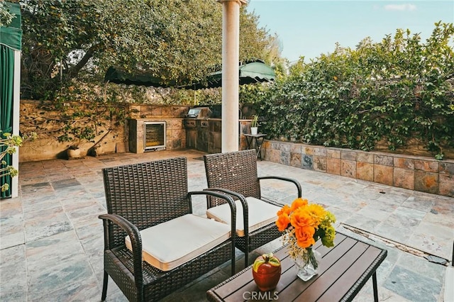 view of patio / terrace with an outdoor kitchen