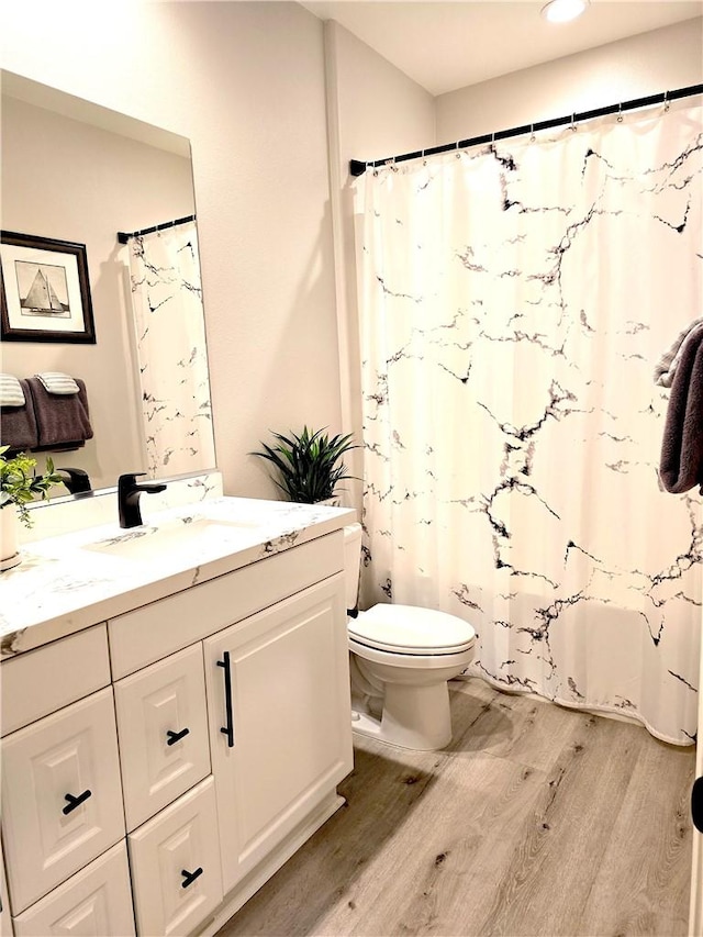 bathroom featuring toilet, vanity, and wood-type flooring