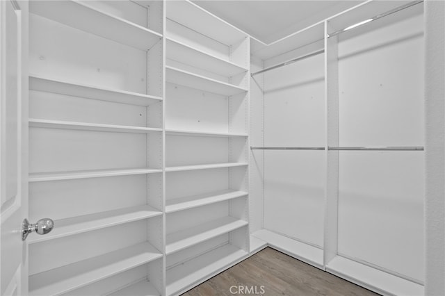 walk in closet featuring wood-type flooring