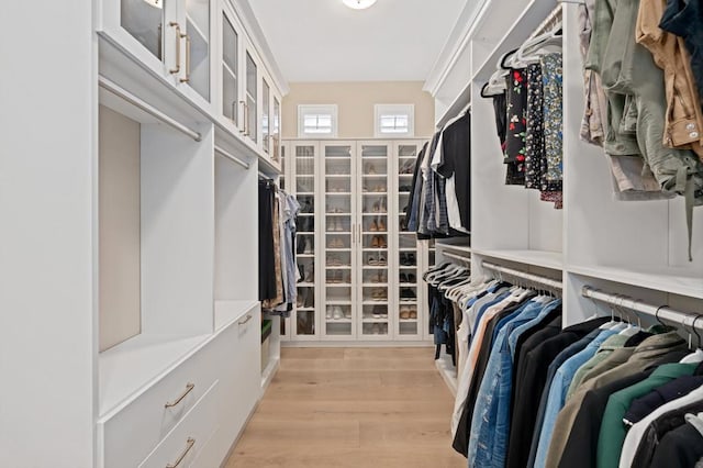 spacious closet with light hardwood / wood-style flooring