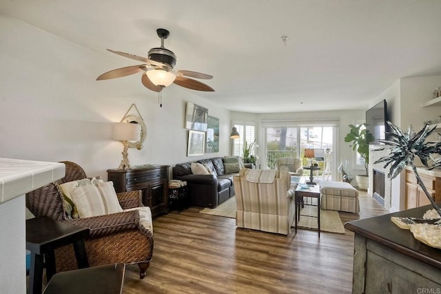 living room with dark hardwood / wood-style flooring