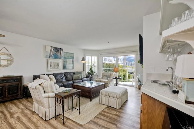 living room with light hardwood / wood-style flooring and indoor wet bar