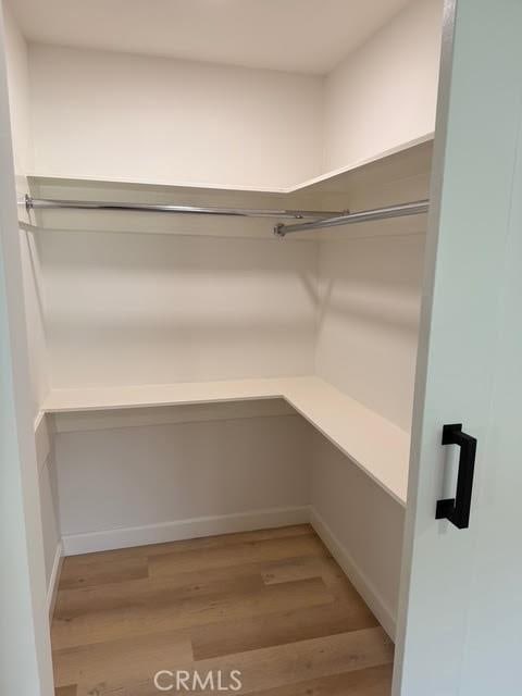 walk in closet with light wood-type flooring