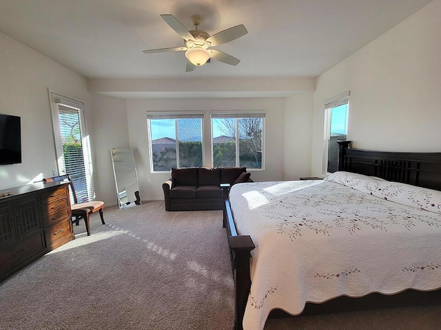 carpeted bedroom with ceiling fan and multiple windows