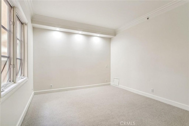 empty room with carpet floors and ornamental molding