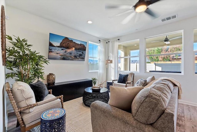 living room featuring ceiling fan and wood-type flooring