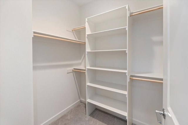 walk in closet with light carpet