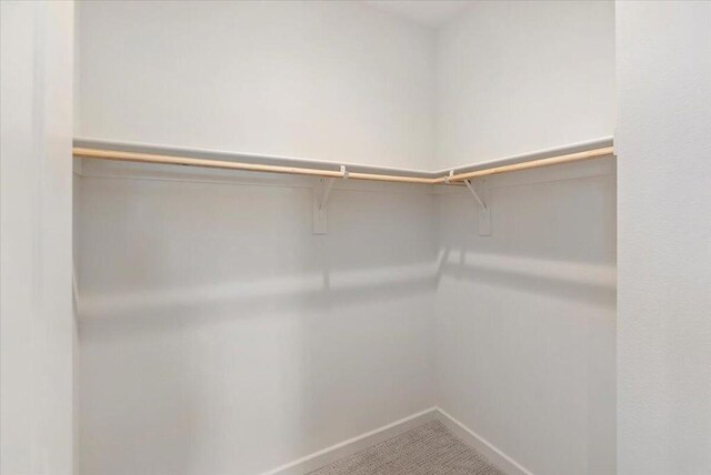 walk in closet featuring carpet