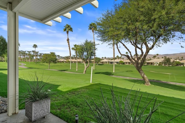 view of property's community featuring a yard