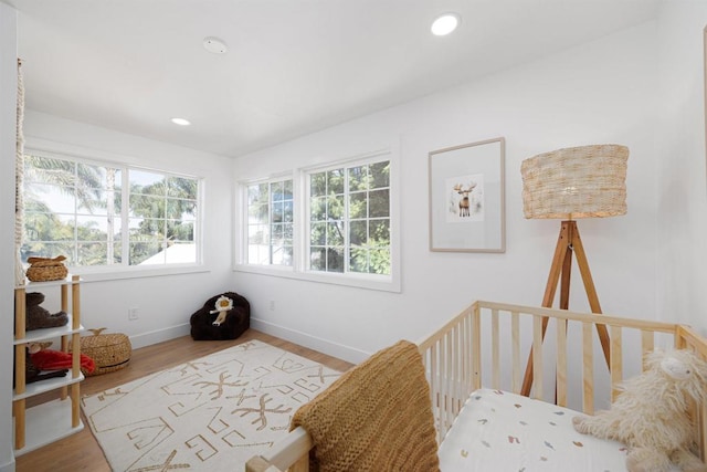 bedroom featuring wood-type flooring