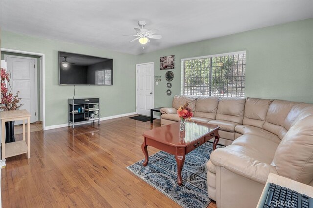 living room with ceiling fan and hardwood / wood-style floors