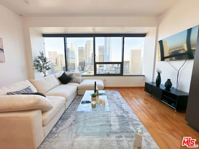 living room featuring wood-type flooring