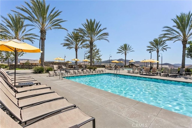 view of swimming pool featuring a patio area