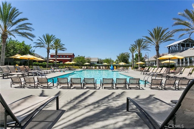 view of pool featuring a patio area