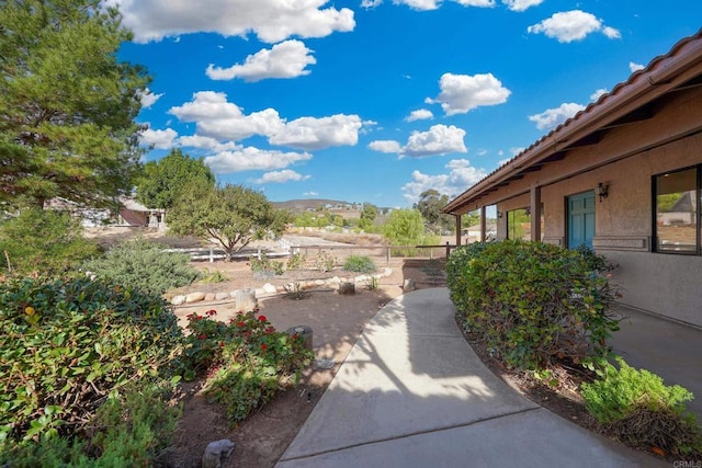 view of yard with a patio and a mountain view