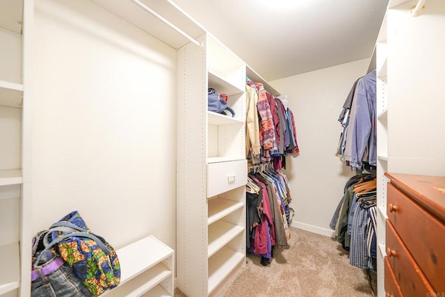 walk in closet featuring light colored carpet