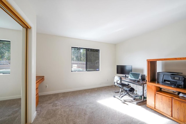 office space featuring carpet flooring