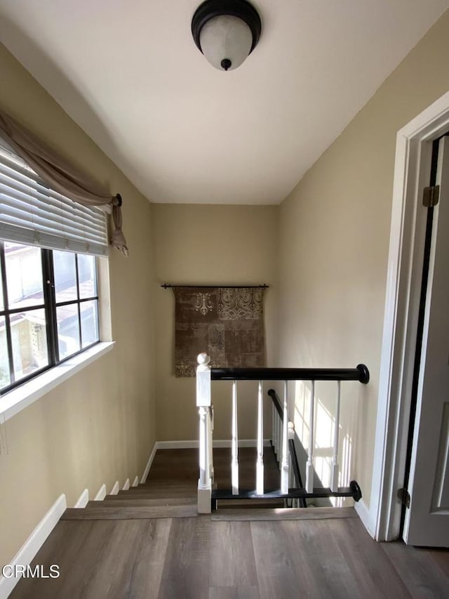 staircase featuring hardwood / wood-style floors