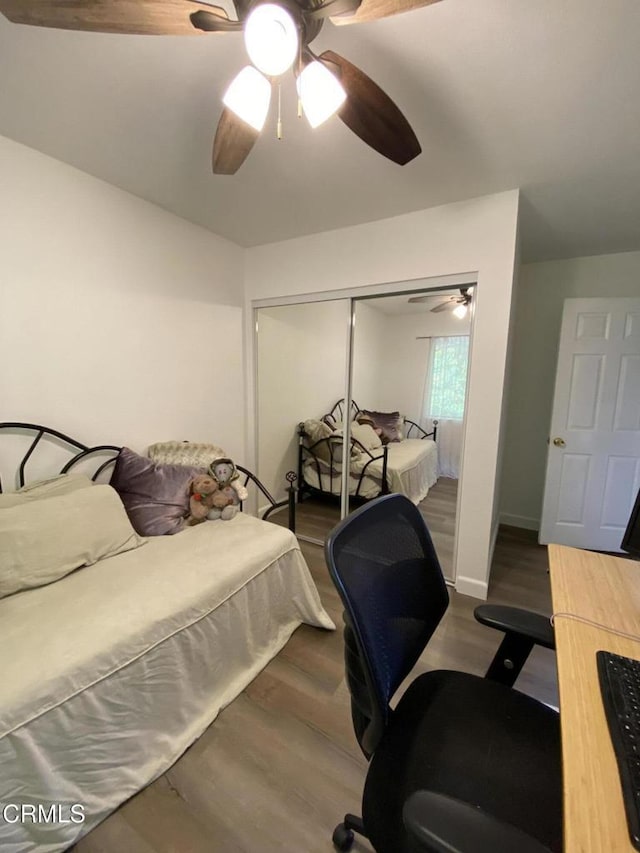 bedroom featuring ceiling fan, a closet, and dark hardwood / wood-style floors